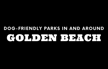 Dog-Friendly Parks In and Around Golden Beach